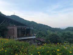 -远山有窑