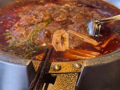 -辣伍鲜毛肚老火锅(元一店)