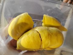 -席娜卡琳火车铁道夜市