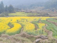-大姆山草场