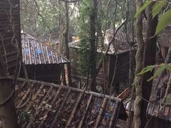 -天门沟九州驿站树上汤泉