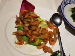 元宝煎红虾-申粤轩酒楼·三十年粤菜经典(丁香花园店)