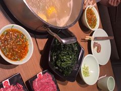 -掂档潮汕牛肉火锅(沈阳万象城店)
