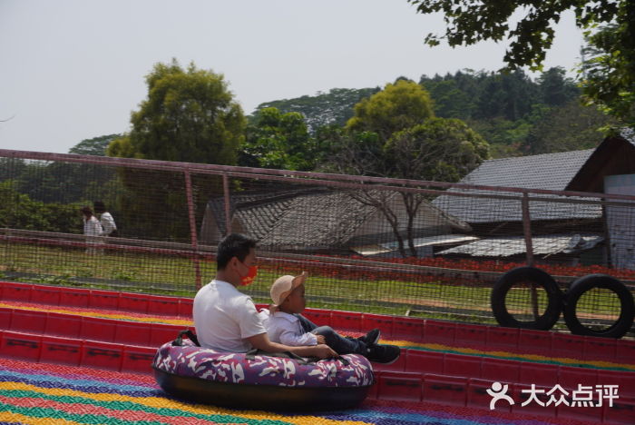 松山湖南湖湾露营营地图片