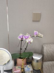 -杭州米兰柏羽医疗美容医院