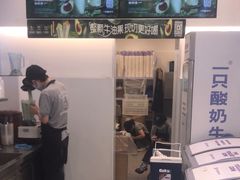 -一只酸奶牛(春熙路店)