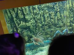 -北戴河圣蓝海洋公园