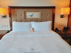 -惠州康帝国际酒店