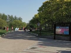 -塘沽森林公园