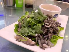 -清真·盛京白记 小骨头羊汤馆(南八马路店)