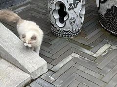 -府学·秋果S酒店(北京南锣鼓巷四合院店)
