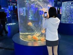 -重庆欢乐海底世界