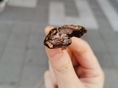 -都士牧人现烤牛肉干