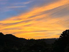 -黄埔油麻山森林公园
