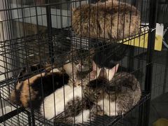 -中田健身工作室(嘉定江桥店)