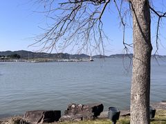 -晓琦农家菜馆·地道农家菜