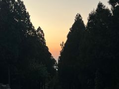 -佛慧山
