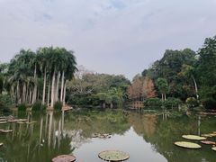 -中国科学院西双版纳热带植物园