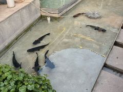 -大理老字号·舟渔的鱼野生菌海景餐厅(双廊店)