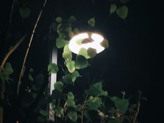 -神光山国家森林公园