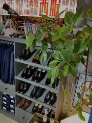 -ChenV西服礼服高级定制(市区养育巷店)