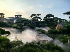 -罗红摄影艺术馆