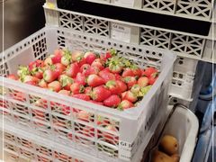 -喜茶(广州北京路惠福东店)