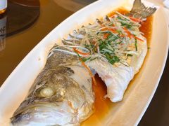 -春色如许·茶食餐厅(桃李春风店)