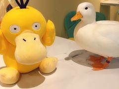 -RU DUCK柯尔鸭公社·撸鸭俱乐部·羊驼·小香猪