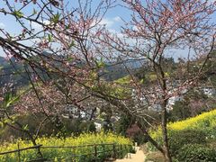 -石潭村