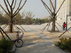 -河南财经政法大学(郑东校区)