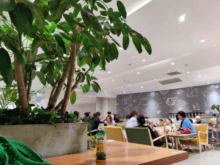 鹿岛园艺(朝天门来福士店)-"我还以为进了个花园也～[6] 跟我以前在..