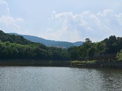 -大屏嶂森林公园