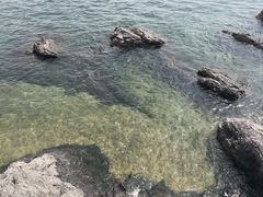 -黑石礁公园