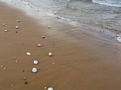 -金沙滩海水浴场(万平口景区4号门扬帆广场店)