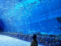 -华夏文旅海洋公园