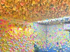 -阿信厚吐司(曾厝垵店)
