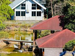 -龙岩梅花山虎园