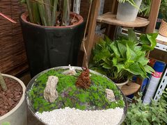 -金陵花卉交易市场