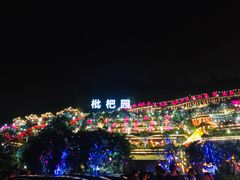 -枇杷园食为鲜火锅(南山店)