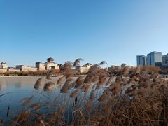 -莲花池公园