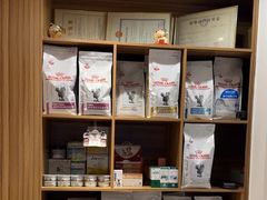 -御宝贝·A梦猫科宠物医院(国际猫友好医院)