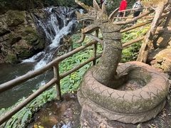 -莫里热带雨林景区
