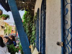 -Sirena海妖日咖夜酒