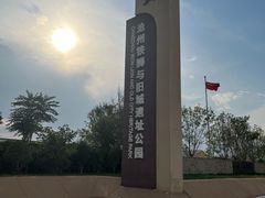 -铁狮子