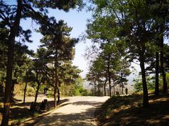 -北京西山国家森林公园