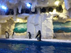 -华夏文旅海洋公园