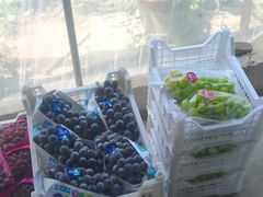 -马陆小张葡萄园农家乐