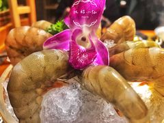 -手选潮汕鲜活牛肉火锅(二七广场店)