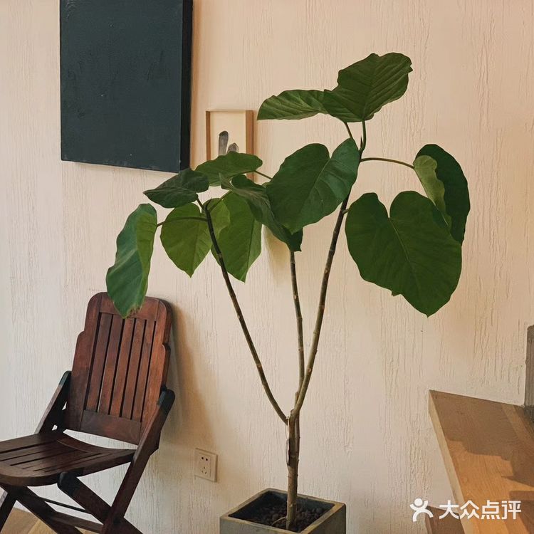 上南隅